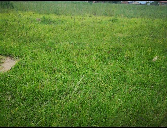 600M² VACANT LAND FOR SALE IN HOWICK WEST